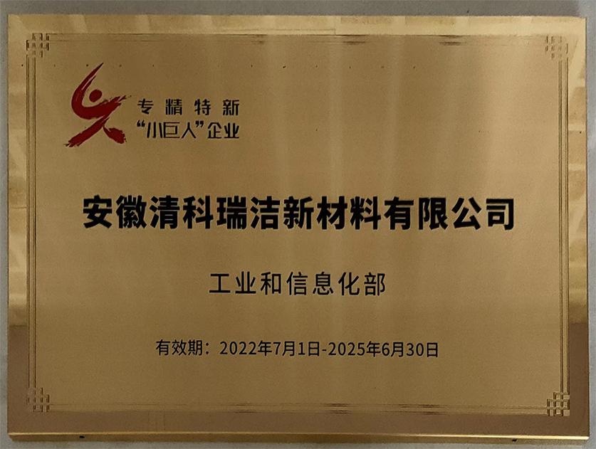 國家專精特新“小巨人”企業(yè)